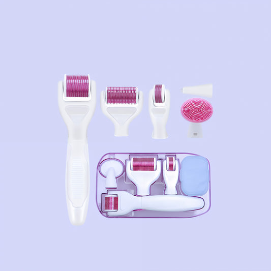 Roxy- 6 in 1 Derma Roller in Titanio